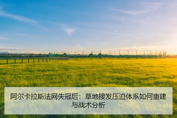 a-er-ka-la-si-fa-wang-shi-guan-hou-cao-di-jie-fa-ya-po-ti-xi-ru-he-chong-jian-yu-zhan-shu-fen-xi-2-306.jpg