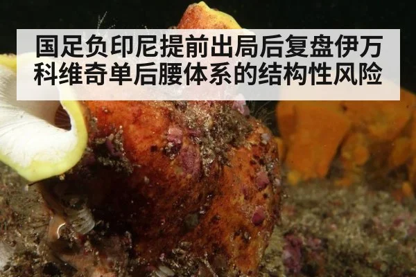 国足负印尼提前出局后复盘伊万科维奇单后腰体系的结构性风险